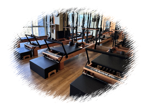 trainer-img1